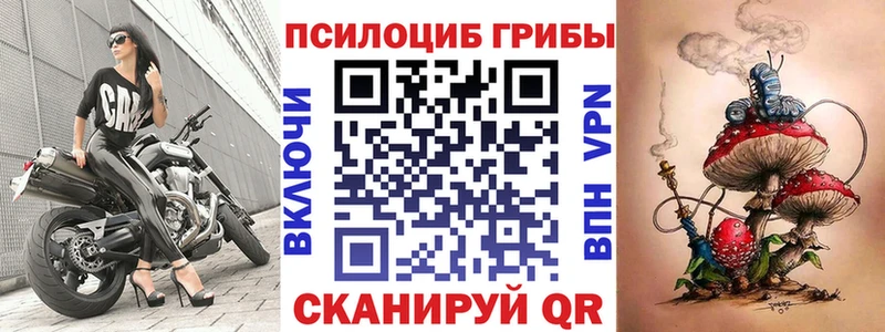 Галлюциногенные грибы Psilocybine cubensis  blacksprut онион  Кыштым 