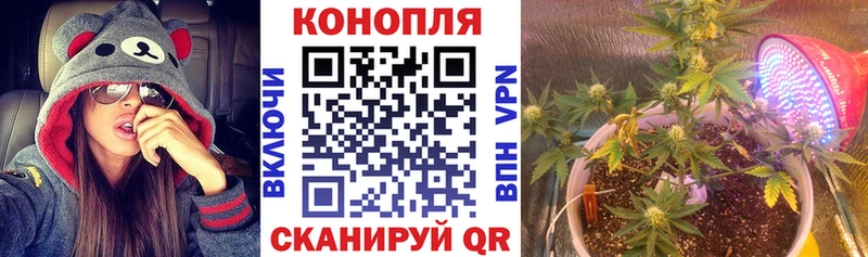 Шишки марихуана THC 21%  Кыштым 